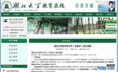 全方位网站建设与推广服务 打造品牌数字化增长的完整闭环